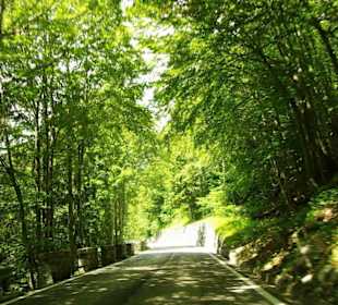 Juli Auffahrt bei Königswetter