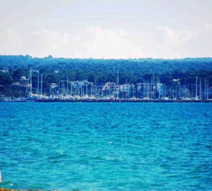 Zum Hafen hin Ballermann