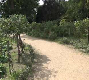 Rosengarten