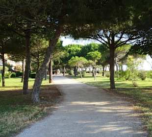 Der nördliche Teil der Strandpromenade