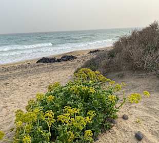 Strand Playa de Esquinzo / Playa de Butihondo