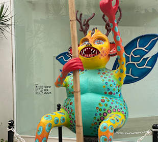 Stadtrundgang Akumal