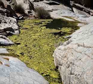 Unterhalb der Staumauer findet sich noch Wasser