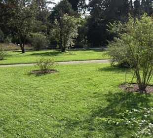 Botanischer Garten München