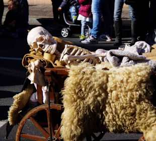 Heimat- Trachtenverein D`Kreehandels Forchheim