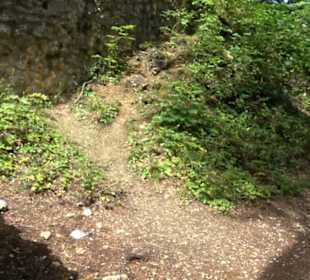 Burg Alt-Lichtenstein