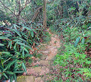 Elephant Mountain Xiangshan Hiking Trail 