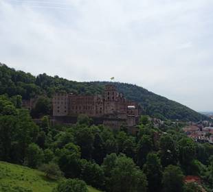 Schloss Heidelberg Ein-und Ausblicke