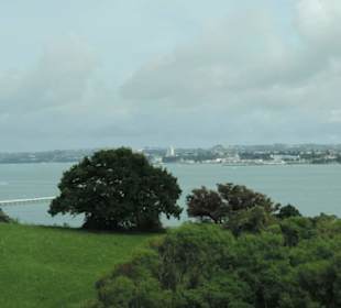 Mit dem Hop on Hop off Bus in Auckland unterwegs