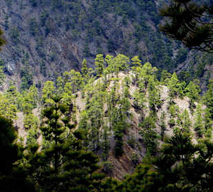 Blick in den Talkessel