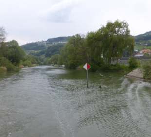 Fahrt mit dem Linienboot auf dem Alten Rhein