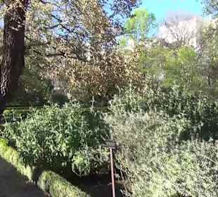 Real Jardín Botánico