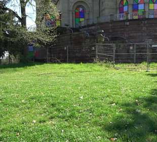 Parkanlage Villa Berg