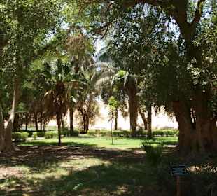 Botanischer Garten in Assuan