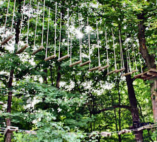 Kletterpark Thale