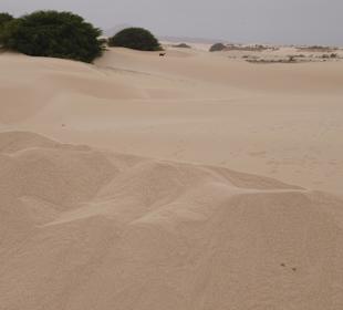 Sandwüste auf der Südtour