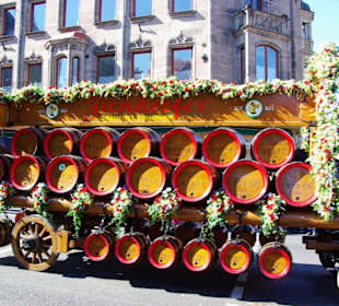 Brauerei Zirndorf 6 Rheinländischen Kaltblütern