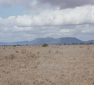 Tsavo Ost und West Safari
