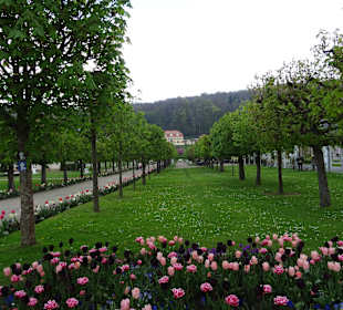 Blick durch den Kurpark zum Gebäude