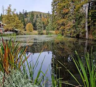 Gasthaus Schwellhäusl
