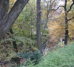 Parkanlage Planten un Blomen