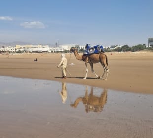 Kamelreiten Agadir
