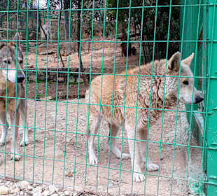 Tierpark Manavgat