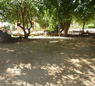 Riesenschildkrötenanlage