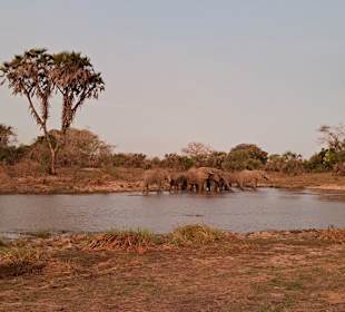 Sadaani Nationalpark