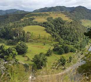 Nowa Zelandia