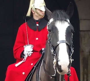 The Queen's Guard