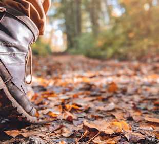 Wandern Schliffkopf
