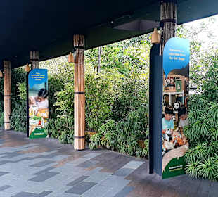 Singapur Zoo