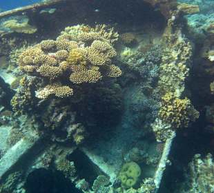 Schiffswrack von 1943 bei Abu Galawa