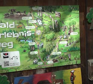 Walderlebnisweg Rottenburg