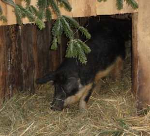 Hellbrunner Kinderweihnachtswelt