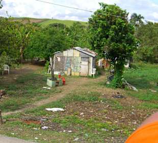 Monster Truck Safari