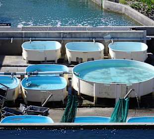 Die "Krankenstation" mit separaten Becken