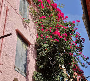Impressionen aus der Altstadt von Collioure