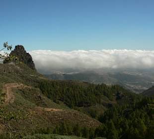 Blick Richtung Norden auf 1500 m Höhe