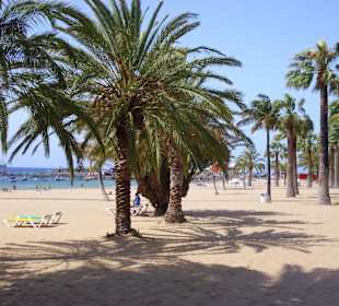 Dieser Strand ist künstlich angelegt