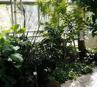 Botanischer Garten