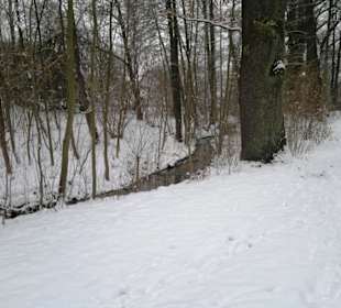 Winterpracht unterer Teil