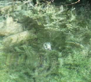 Озеро Курнас 