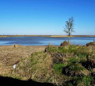 Das Moor zur Seeseite