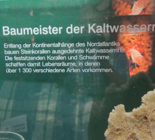 Meeresmuseum Stralsund