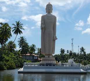 Budda oberhalb von Galle