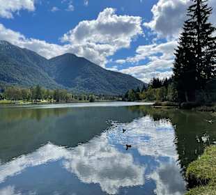 Wildsee