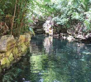 Xcaret