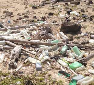 Klein Curacao - Zivilisationsmüll Ostküste 